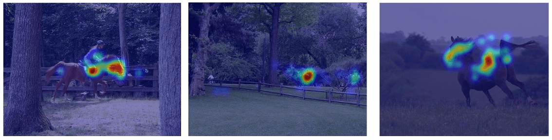 Eye tracking heatmaps