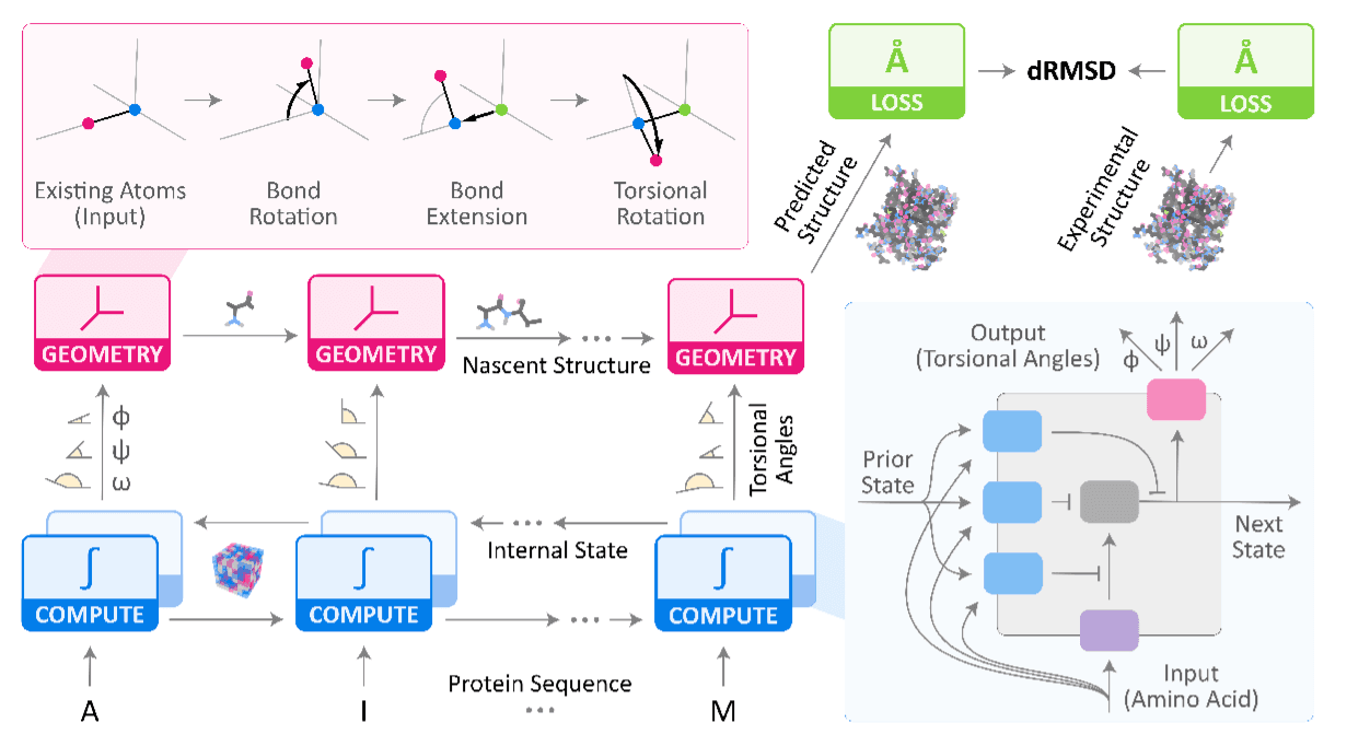 Protein architecture diagram
