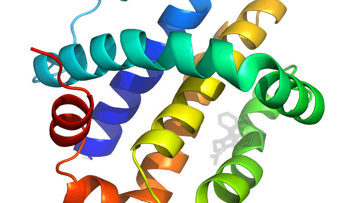 Protein tertiary structure prediction